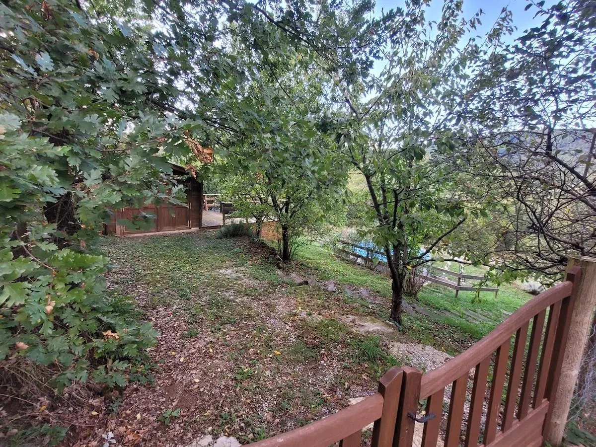 Maison En Pierre Au Coeur De L'Ardeche Avec 4 Lits, 2 Chambres, 1 Piscine Hors Sol Planzolles 0*,  France